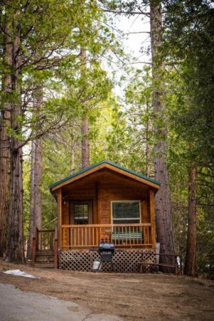 Idyllwild Camping Resort Cabin - image 2